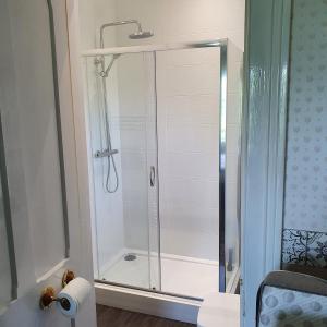 a shower with a glass door in a bathroom at Country Manor House in Higham