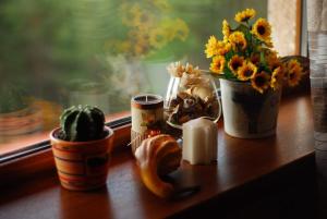 a window sill with flowers and a candle and a plant at Парк-хотел Родопи in Churen +53 photos