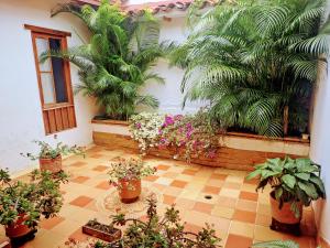Vườn quanh Hospedaje Don Juan