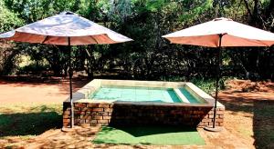 two umbrellas sitting next to a swimming pool at Thaba Tshwene Game Farm in Modimolle +8 photos