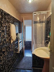 a bathroom with a tub and a sink and a shower at Chambre d'hote les frérots in Lurcy-le-Bourg +25 photos