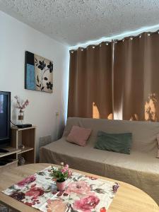 Televízia a/alebo spoločenská miestnosť v ubytovaní Apartment House Aria