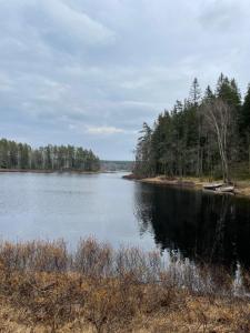 a view of a lake with trees on the shore at Cozy Apartment in Grimsås