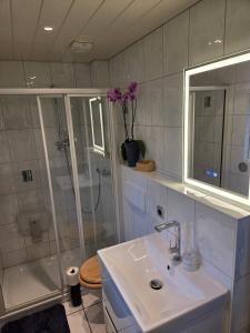 a white bathroom with a sink and a shower at Ferienhaus in Müden Örtze in Faßberg +6 photos