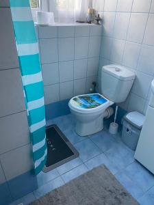 a blue and white bathroom with a toilet at Monika House in Warsaw
