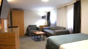 ein Hotelzimmer mit einem Bett, einer Couch und einem Stuhl in der Unterkunft Varyant Hotel in Konak