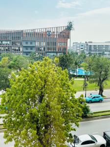a tree in front of a city with a building at Thỏ homestay in Gia Lâm Pho