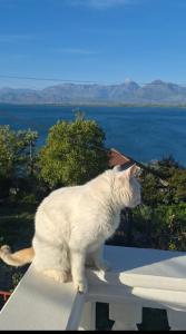 Paesaggio naturale nelle vicinanze della stanza in casa privata