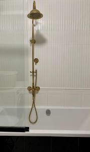 una vasca da bagno con una doccia dotata di luce di Przedmiejska2 Apartment a Breslavia Altre 3 foto