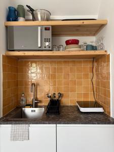 a kitchen with a sink and a microwave at Studio Fourchaume in Chablis +5 photos