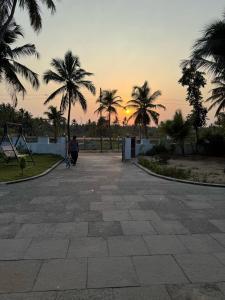 CheruvattūrにあるThe Kayal Delightのヤシの木が茂る公園でスケートボードに乗る人