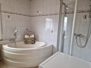 a bathroom with a shower and a toilet and a sink at Ganze Ferienwohnung in Miesau in Bruchmühlbach-Miesau