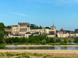 a view of a large castle and a river at Charming troglodyte near Amboise in Pocé-sur-Cisse