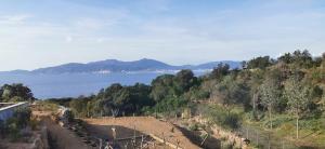 - une vue sur l'océan depuis une colline arborée dans l'établissement Casa FIORI - 2 personnes - Vue mer, à Pietrosella
