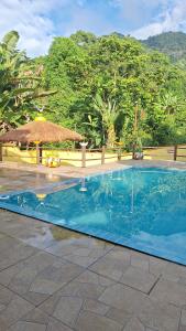 a blue swimming pool with a straw umbrella and trees at Pousada Verde in Paraty
