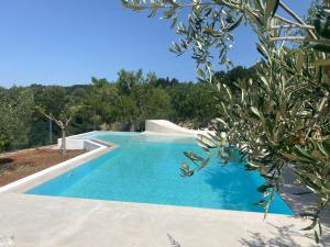a swimming pool in a villa with blue water at NEW piscina coppa di fuoco in Fasano