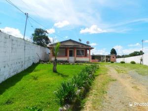 a house with a palm tree in front of a yard at Chácara dos Sonhos in Caldas