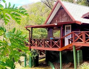 A garden outside Cedar Retreat Cottage