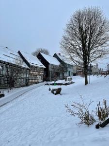 a snow covered village with buildings and a tree at Renovated apartment with Wi-Fi in Walkenried