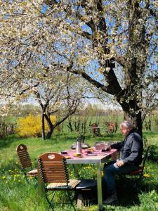 Κήπος έξω από το Ferienwohnung Storchenwiese im Fränkischen Seenland