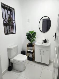 布拉瓦约8 On Dianne Guesthouse的浴室里有马桶、洗手池和镜子。 更多12张照片