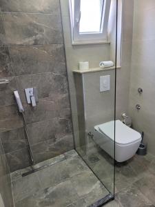 a bathroom with a toilet and a glass shower at Villa Deea Ohrid in Ohrid +29 photos