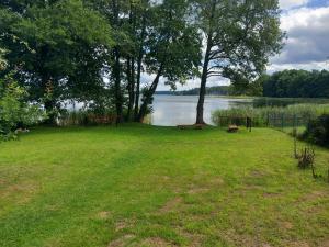 un parque con un banco y un árbol y agua en Domek w Bogaczewie nad jeziorem Narie, en Bogaczewo