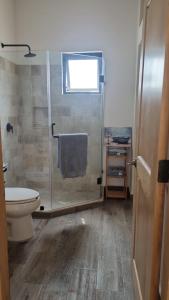 クルス・デ・ウアナカストレにあるCasa Azulのシャワーとトイレ付きのバスルーム +8枚の写真