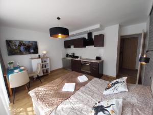 Η κουζίνα ή μικρή κουζίνα στο Studio Orla Chata +17 φωτογραφίες
