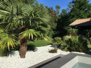Magnifique Studio dans Villa Contemporaine au Calme avec Piscine & Parking Privé à Beaumont les Valence & Montéléger外面的花园
