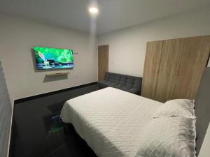 RoldanilloApartaestudio en pueblo mágico的一间带床和平板电视的卧室