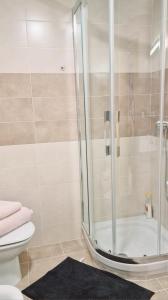 a bathroom with a shower with a toilet and a rug at VT Dos Soles in Lardero +4 photos