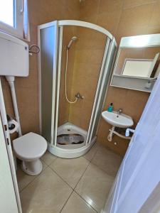 a bathroom with a shower and a toilet and a sink at Vila Jenic in Soko Banja +32 photos