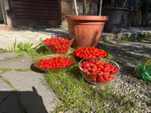 Vonkajšia záhrada v ubytovaní Bed & Breakfast Casale Gregoriano