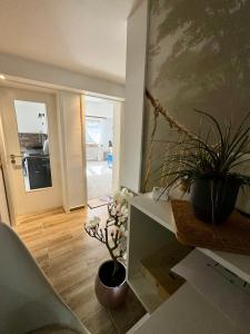 a living room with a potted plant on a counter at Apartment Hearzzeit in Herzberg am Harz
