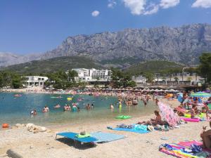 Príroda v okolí apartmánu