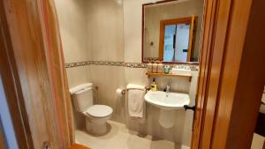 a bathroom with a toilet and a sink and a mirror at La casa del Amo , Trasmoz Y Moncayo in Trasmoz
