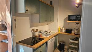 a small kitchen with green cabinets and a stove at Appartement proche centre-ville et plages in Cavalaire-sur-Mer +3 photos