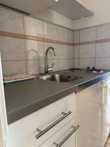 VILLA ŠIMOVIĆ APARTMENTS的厨房或小厨房
