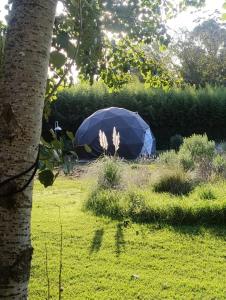 a blue umbrella sitting in the middle of a field at LA Viella Glamp Tala in Mar del Plata