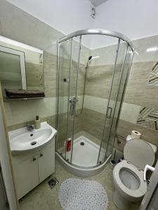 a bathroom with a shower and a toilet and a sink at Rosu Residence 2 in Onești +26 photos