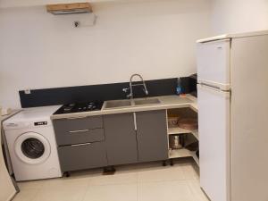 a kitchen with a sink and a washing machine at Appartement F2 à Thiers in Thiers