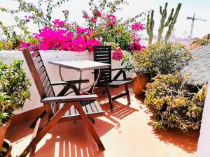A garden outside El Beaterio Apartments