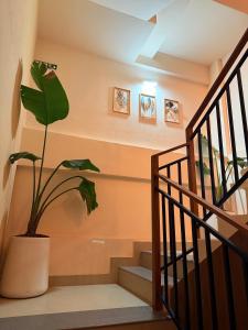 Fotografie z fotogalerie ubytování AJ Wayanad Suites v destinaci Kalpatta
