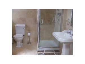 a bathroom with a shower and a toilet and a sink at Ambrose Mews B&B in Duncormick