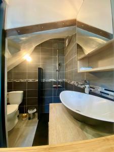 a bathroom with a large tub and a toilet at Charmant Petit studio proche Centre et Plage in Banyuls-sur-Mer +13 photos