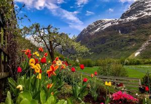 ストリンにある4 bedroom house in beautiful Oldedalenのギャラリーの写真 +35枚の写真