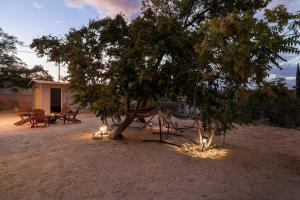 Gallery image of Reposo Ranch in Joshua Tree