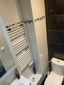 a bathroom with a white toilet and a mirror at Appartement Montrouge in Montrouge