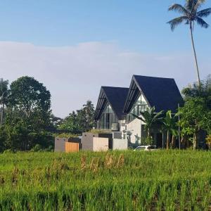 a house in a field with a palm tree at Villa cecile in Balian